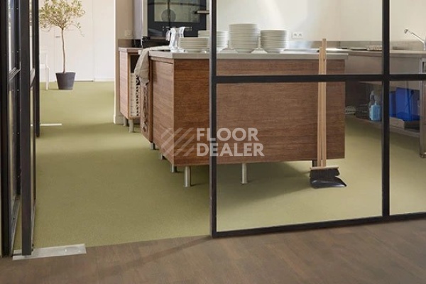 Линолеум FORBO SureStep WOOD 18902 dark oak фото 1 | FLOORDEALER